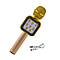 Wireless Bluetooth Karaoke Microphone with LED Lights and USB Charger - Rose