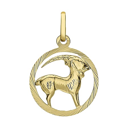 9K Yellow Gold 15mm X 23mm Diamond Cut Capricorn Zodiac Pendant