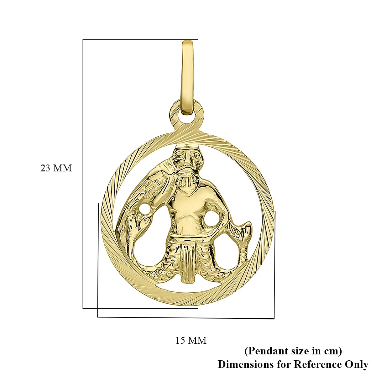 9K Yellow Gold 15mm X 23mm Diamond Cut Aquarius Zodiac Pendant