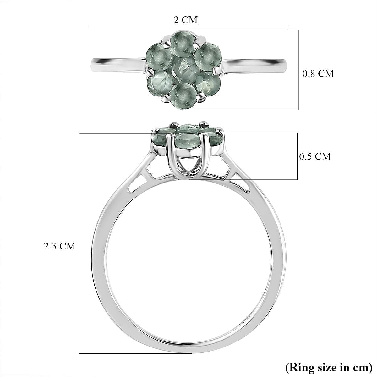 Narsipatnam Alexandrite Ring in Platinum Overlay Sterling Silver