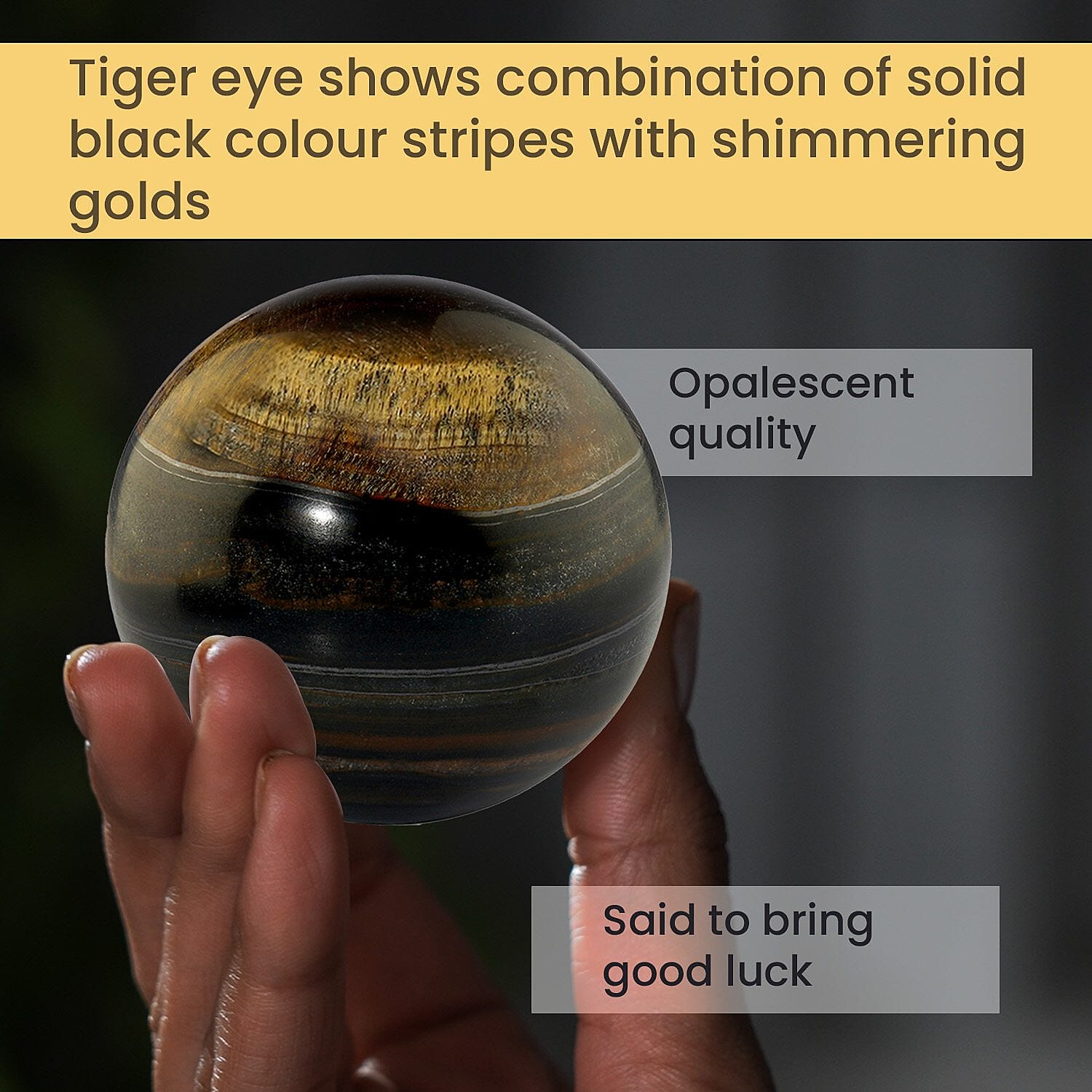 Tucson Find - Tiger Eye Gemstone Sphere 1700.00 Ct