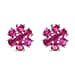 African Ruby Floral Stud Earrings (With Push Back) in Platinum Overlay Sterling Silver 3.38 Ct.