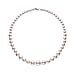  White Shell Pearl Necklace (Size - 20) in Rhodium Overlay Sterling Silver 310.00 Ct.