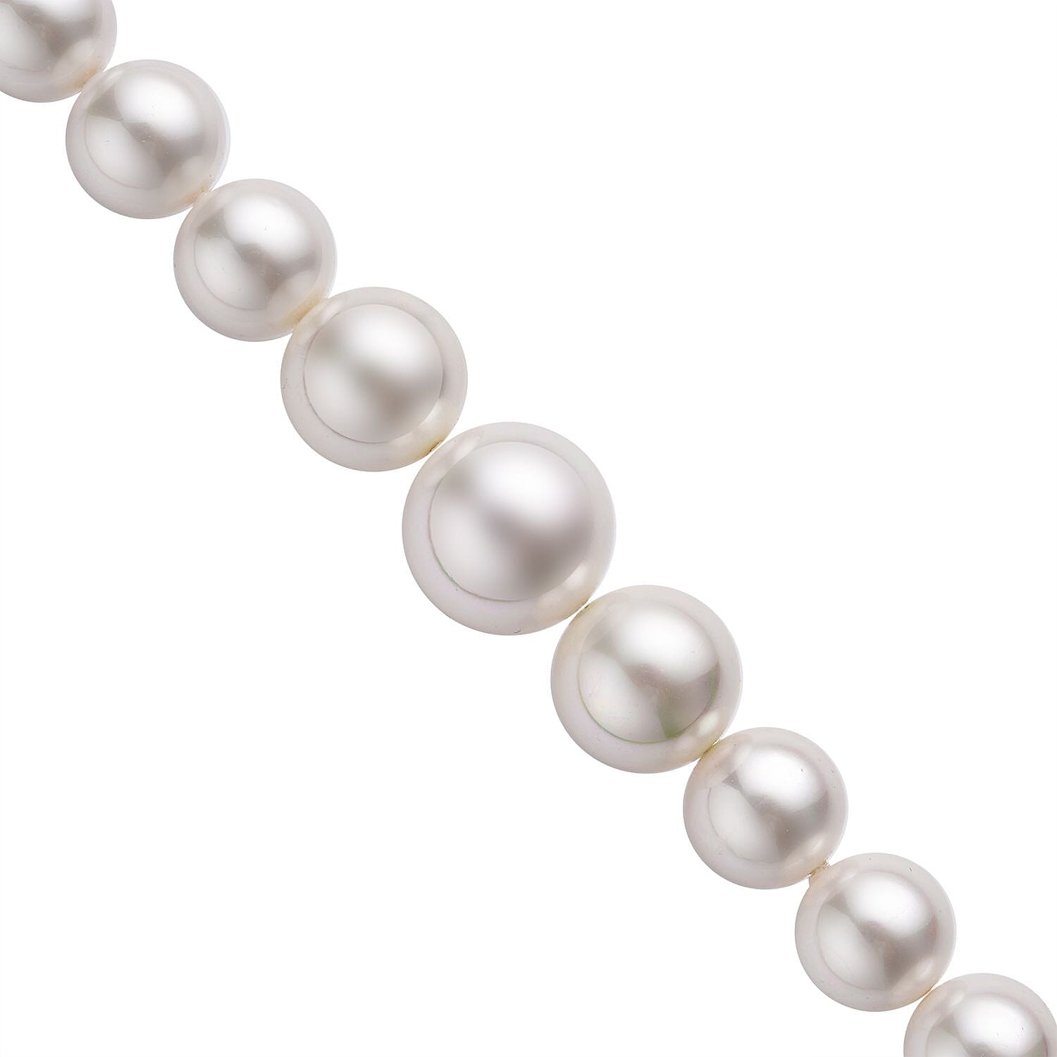 White Shell Pearl Necklace (Size - 20) in Rhodium Overlay Sterling Silver