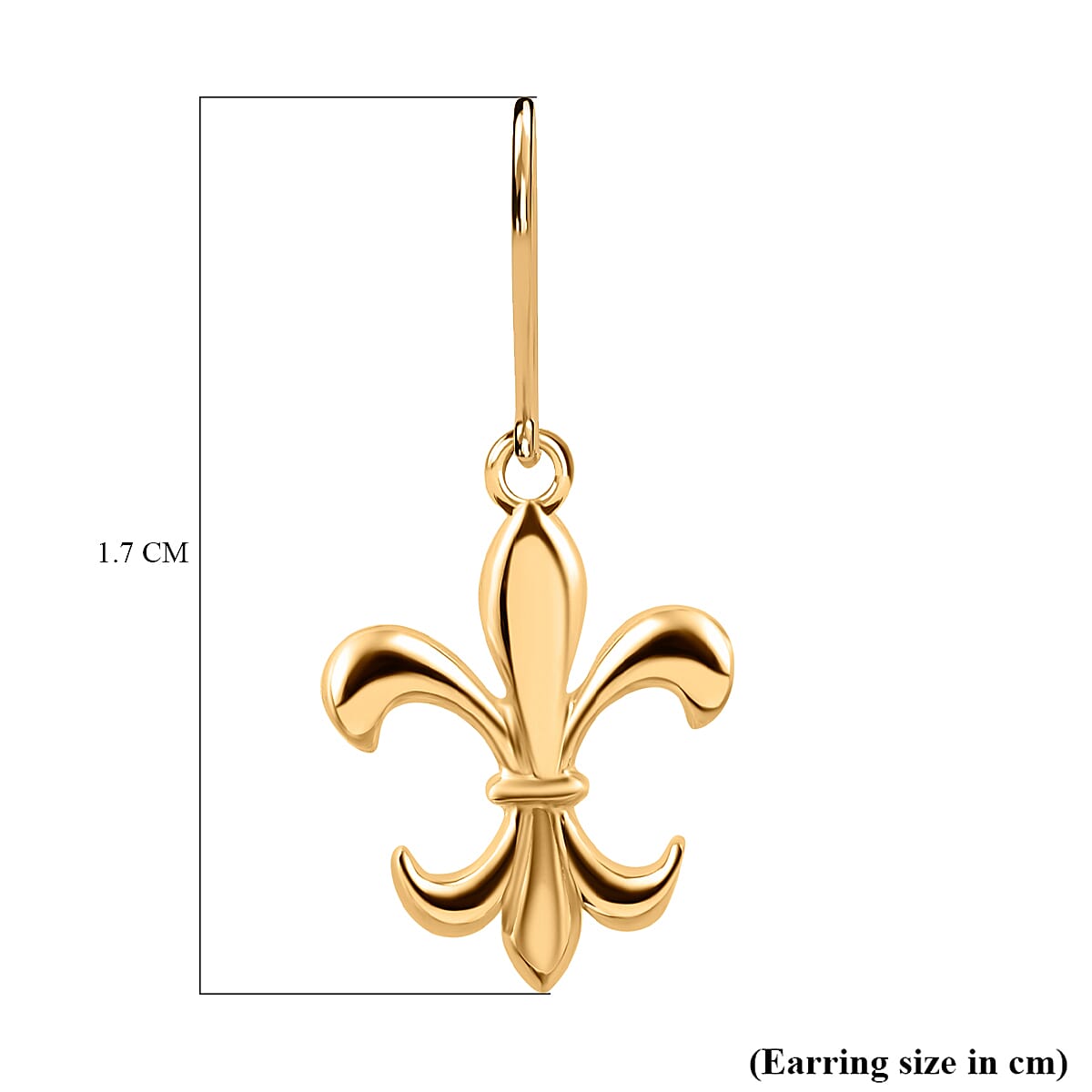 9K Yellow Gold Fleur De Lis Earrings (with Hook)