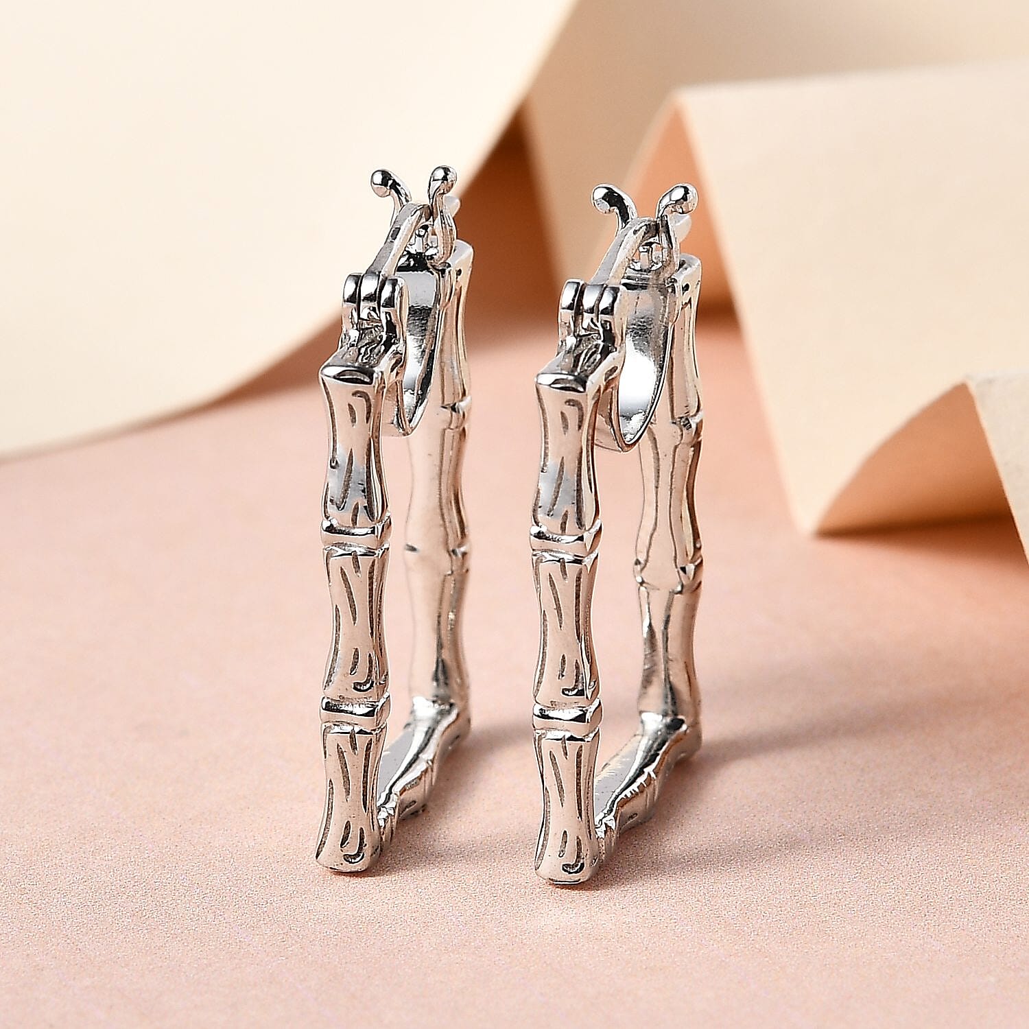 Close Out -Platinum Overlay Sterling Silver Earrings (With Clasp)