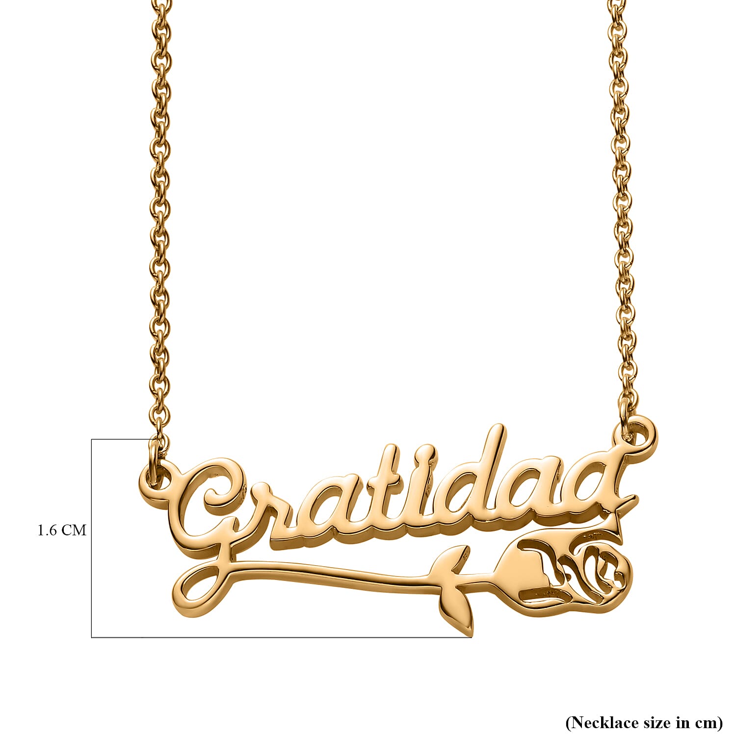 Vermeil YG Sterling Silver Necklace (Size - 20)