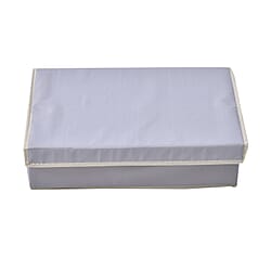 Homesmart Underwear Storage Box with Lid/17 Compartments (Size 44x28x12 cm) - Grey