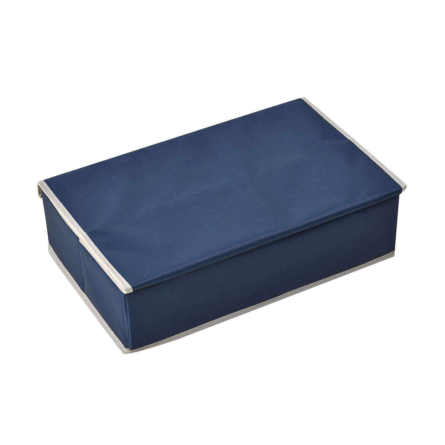 Homesmart 17 Compartment Storage Box - Shelf Organiser (Size 44x28x12 cm) - Blue