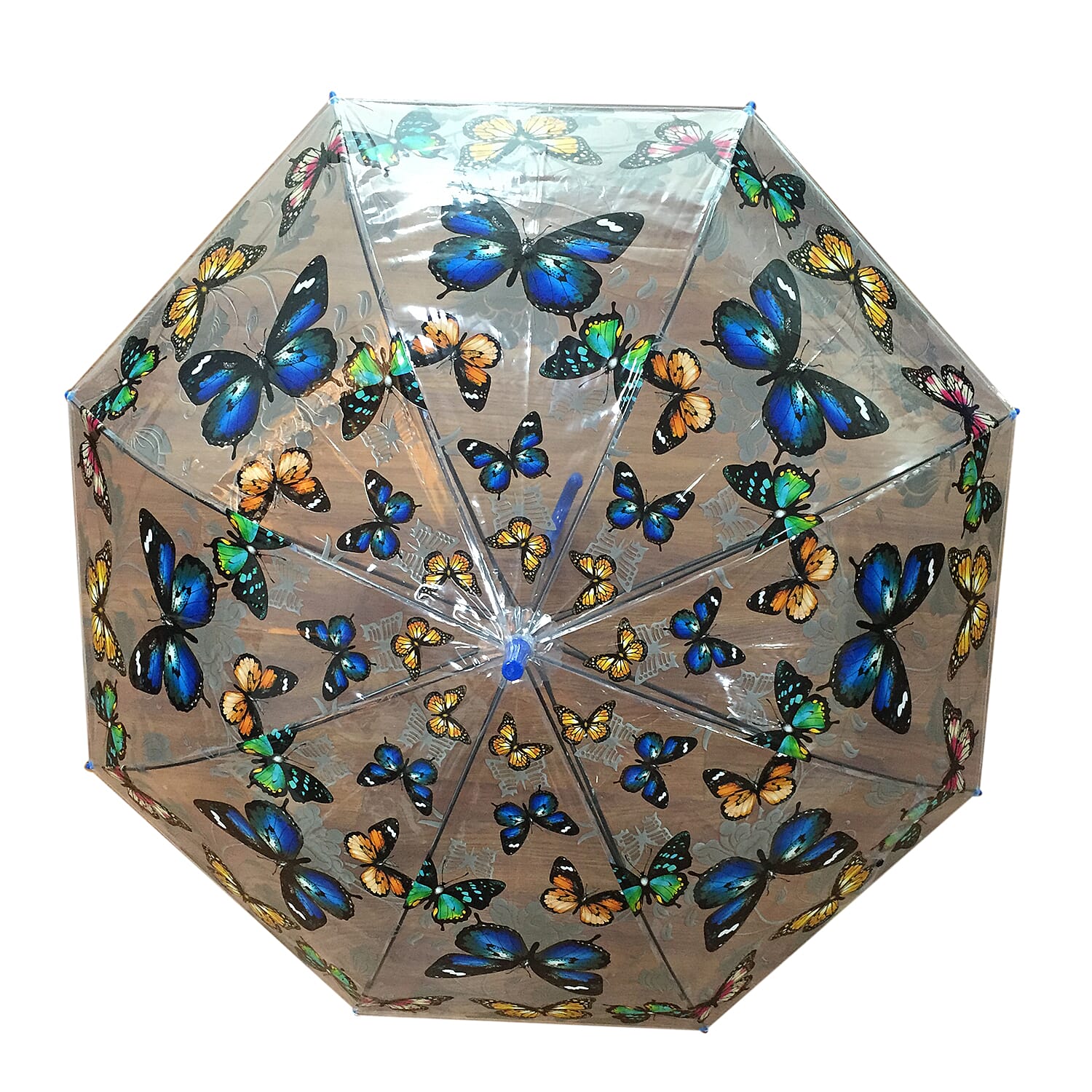 Butterfly Pattern Auto Opening Umbrella in an 8 Panel - Orange, Blue & Multi
