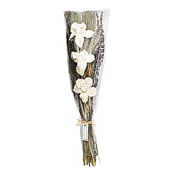 Tristarr Artificial Flower (Size 20x5x70 cm) - White 