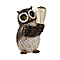 Owl with Solar Lamp Bulb (Size 25x16x15 cm) - White & Black