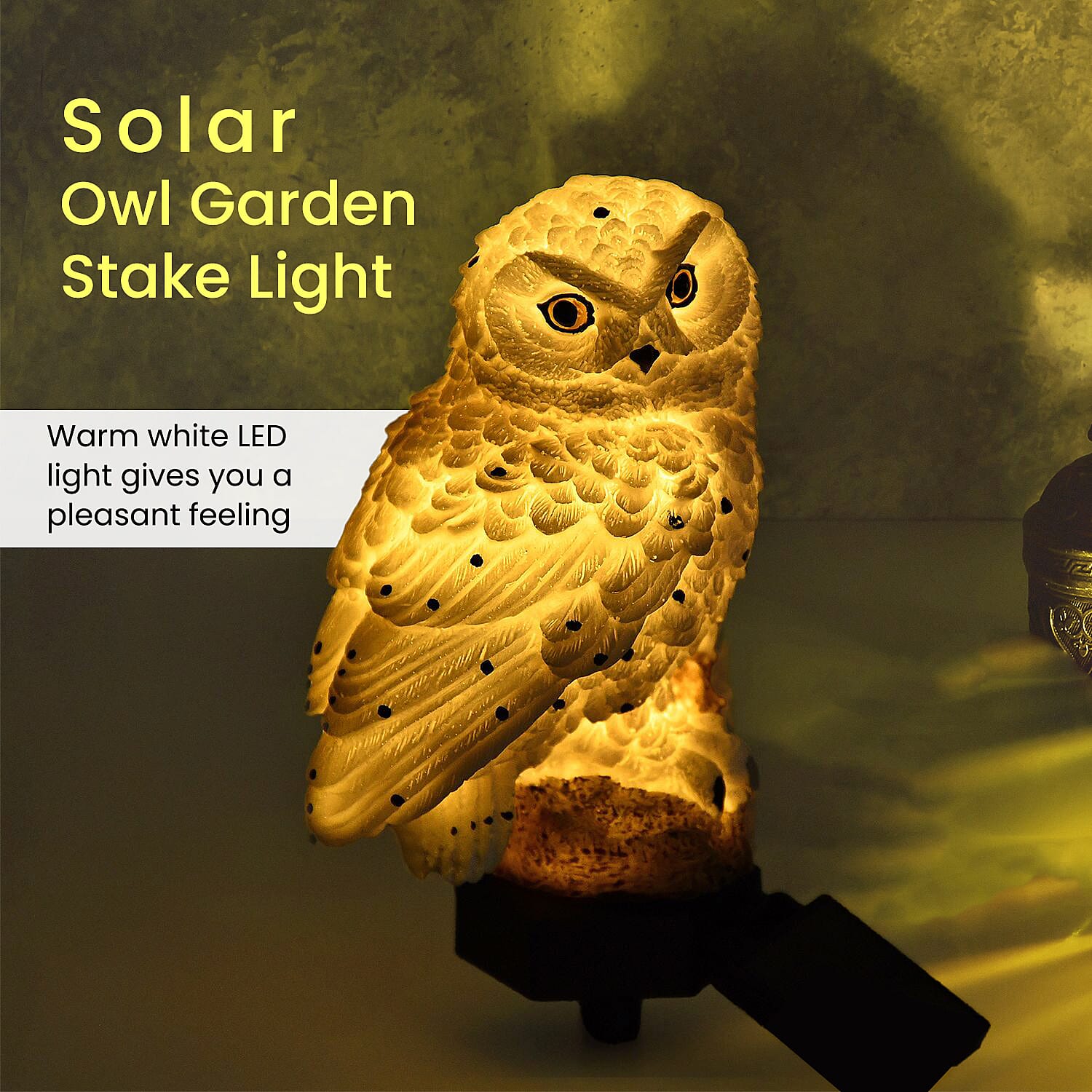 LED Solar Garden Owl Stake Light (Size 42x9x7 cm) - White