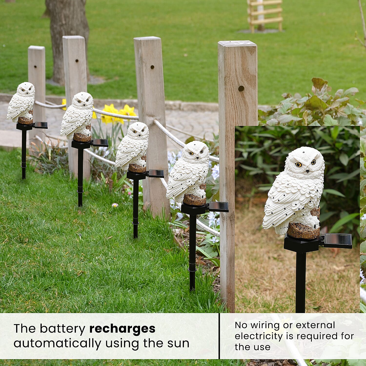 LED Solar Garden Owl Stake Light (Size 42x9x7 cm) - White