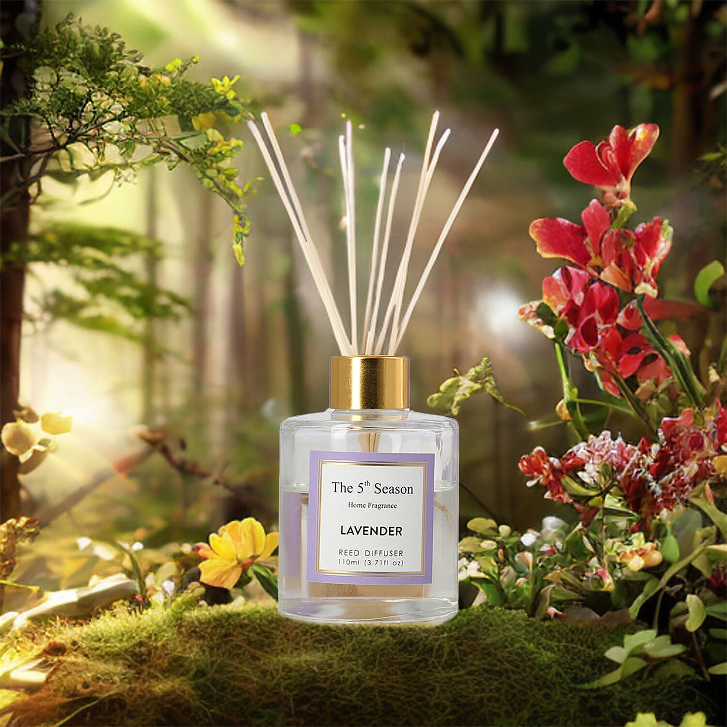 Reed Diffuser Gift Set with Natural Reeds (110ml) - Lavender