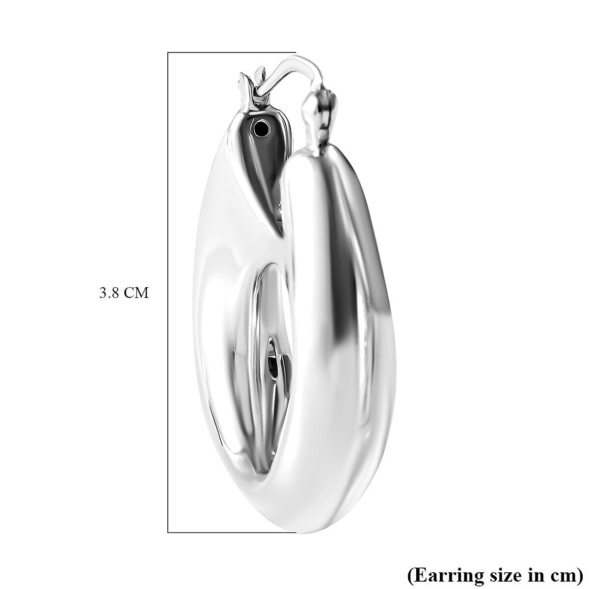 Sterling Silver Earrings (With Clasp), Silver Wt. 6.50 Gms