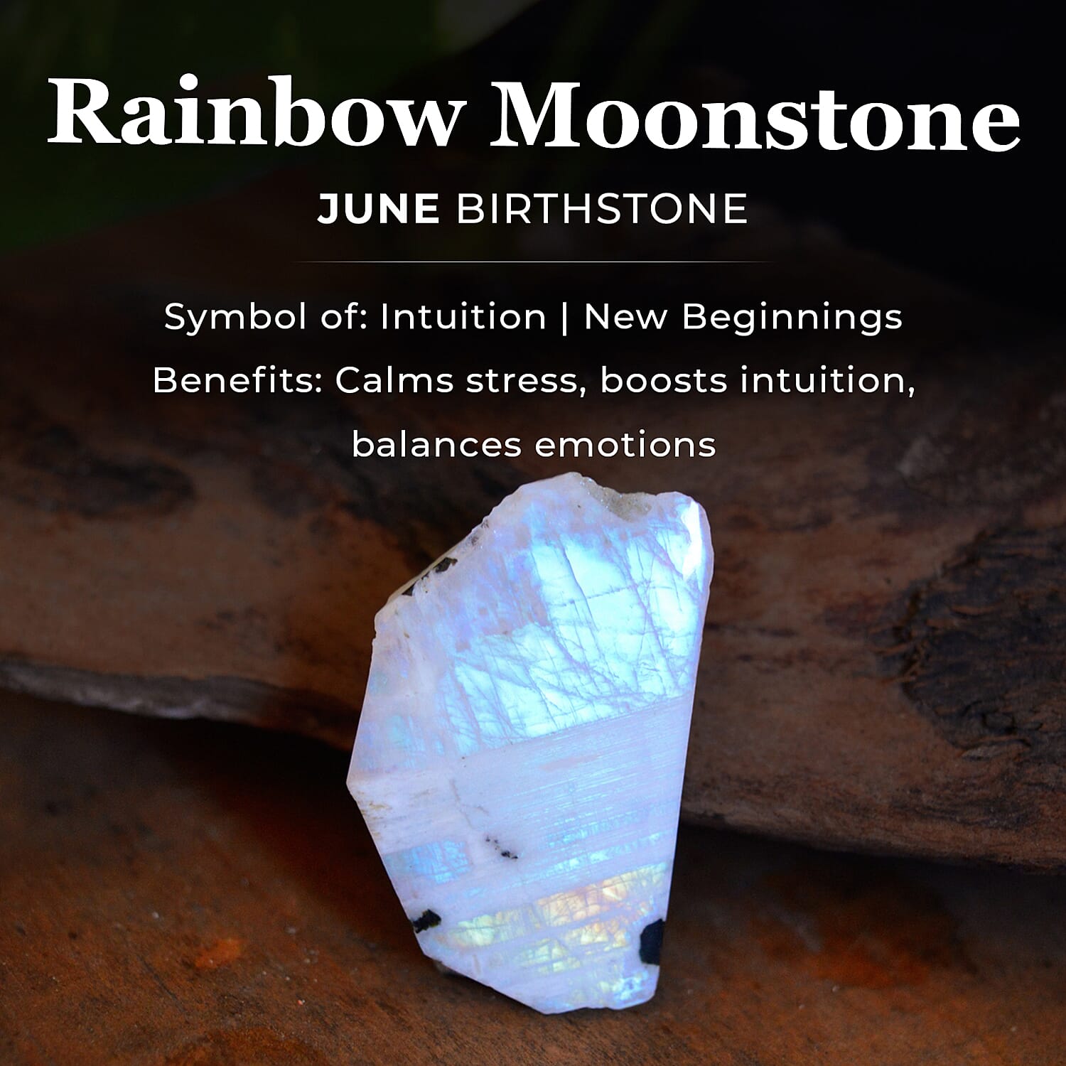 Solitaire Ring in 18K Yellow Gold Vermeil Overlay Sterling Silver