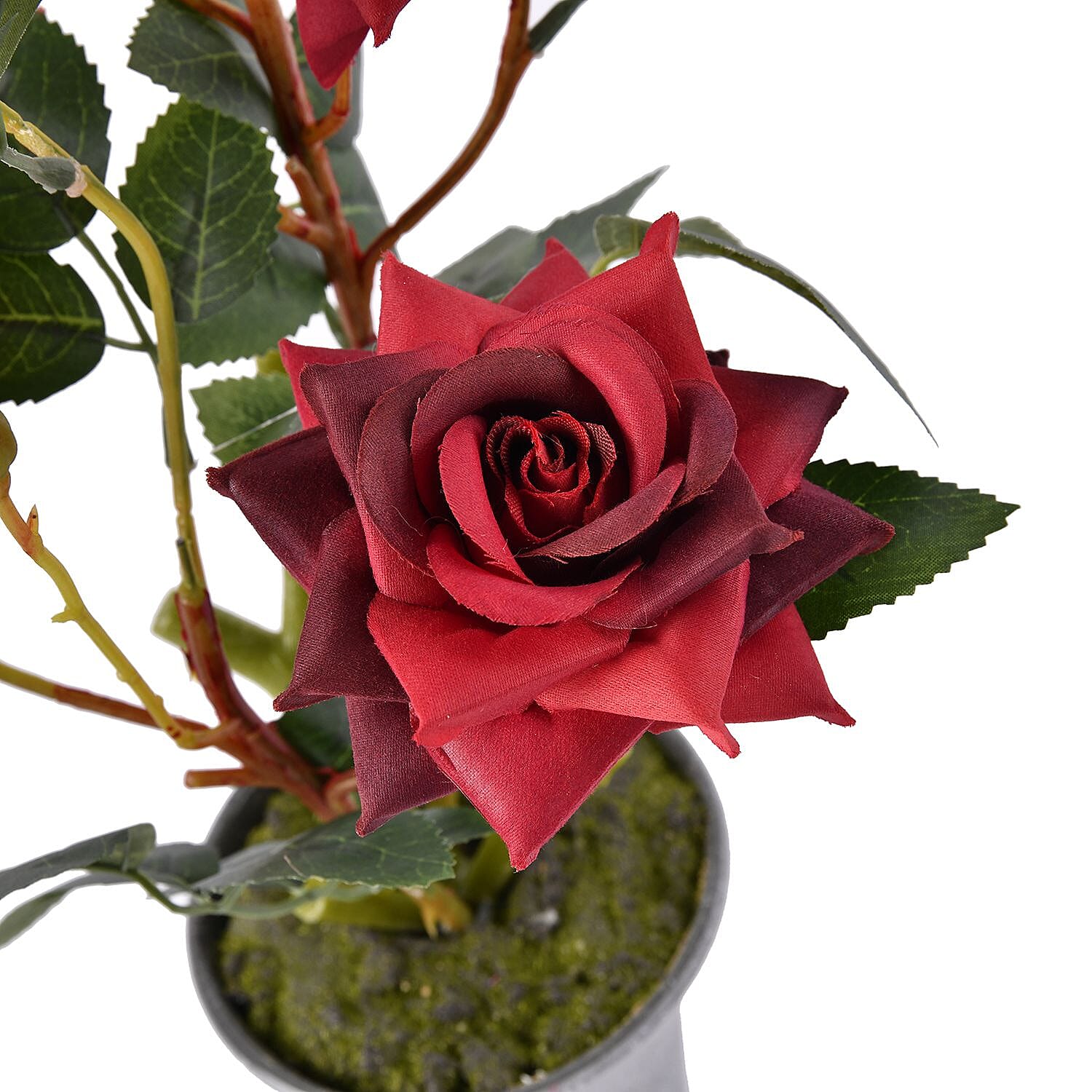 5 Head Rose Flower Foliage (Size 44x11x11 cm) - White