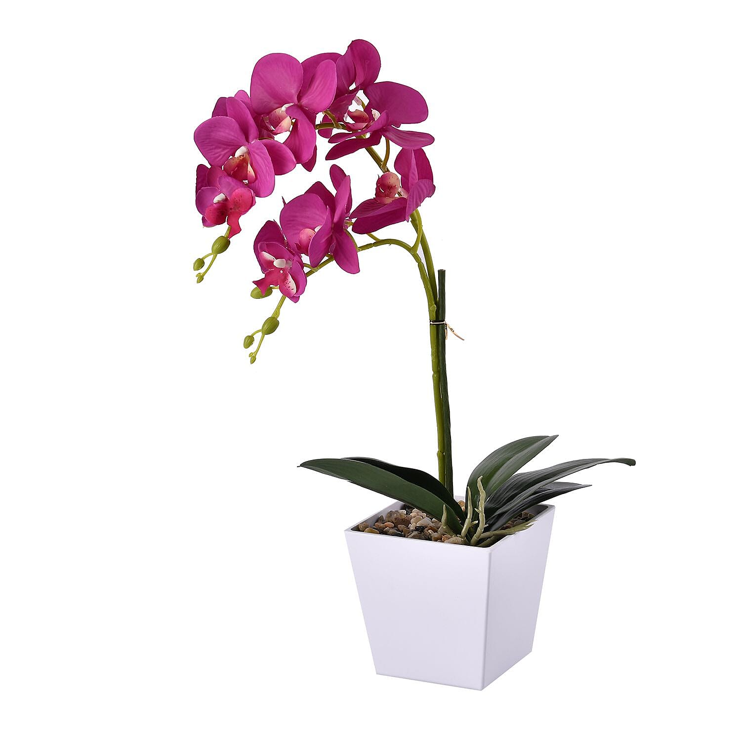 12 Head Butterfly Orchid Flower Foliage (Size 50x12x12 cm) - White