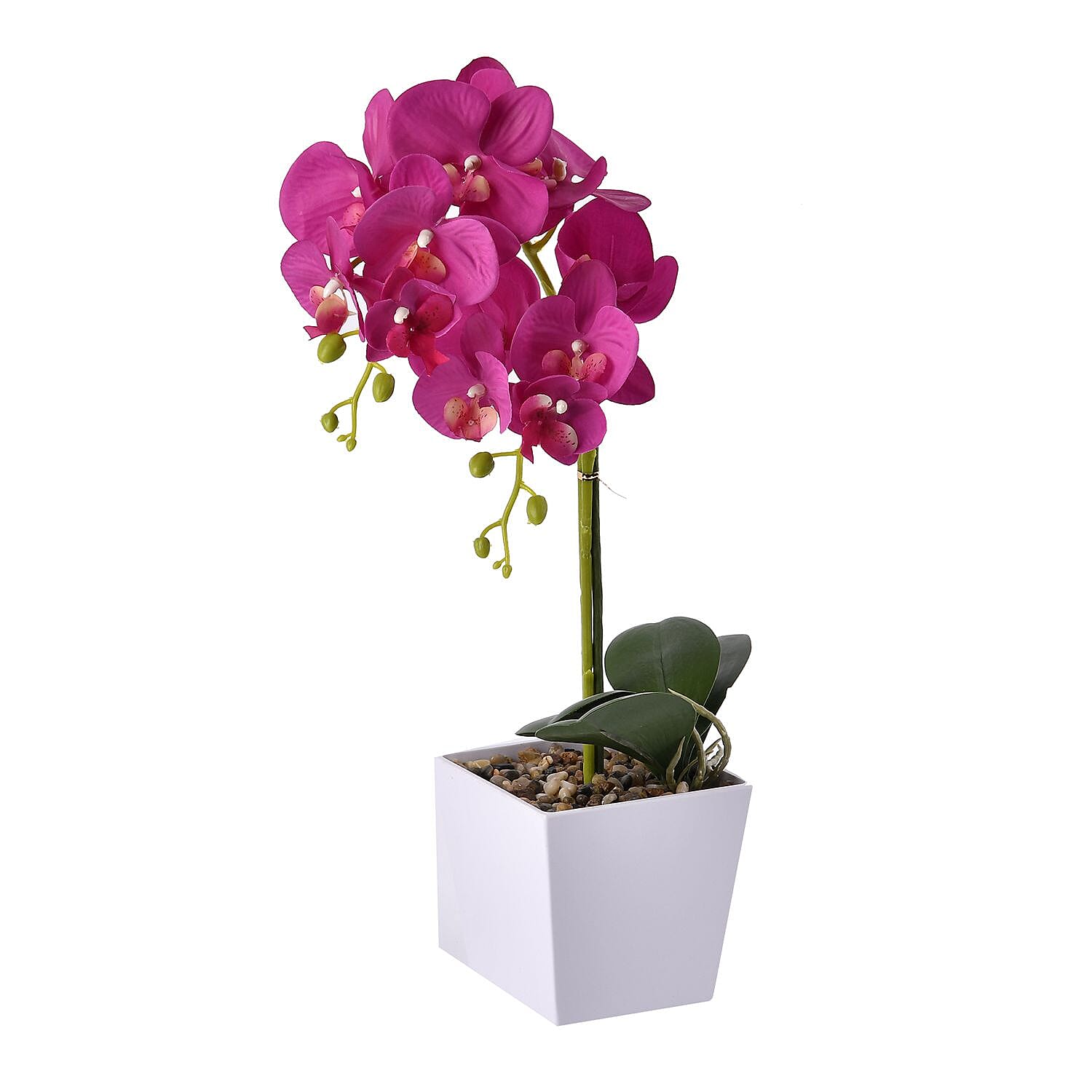 12 Head Butterfly Orchid Flower Foliage (Size 50x12x12 cm) - White