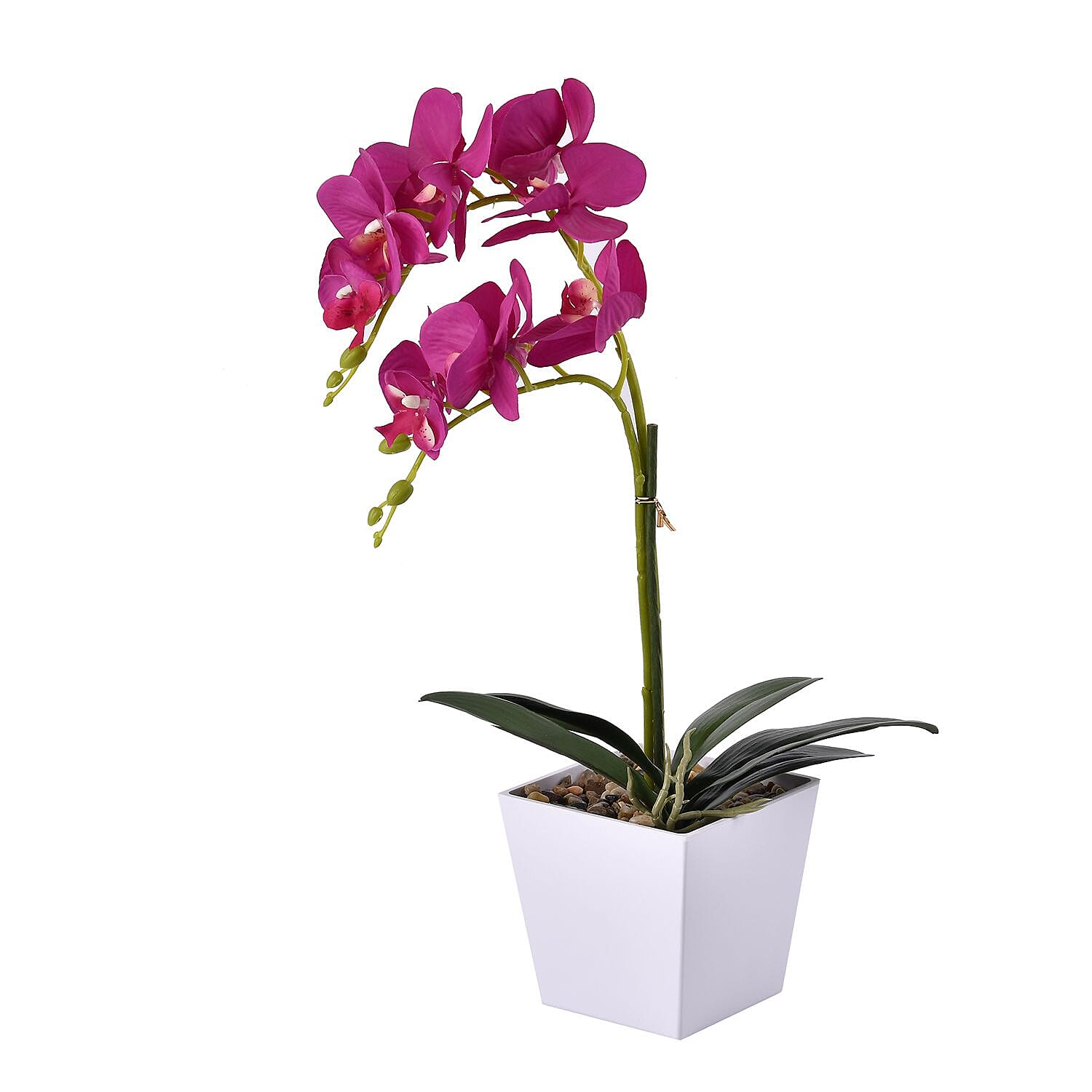 12 Head Butterfly Orchid Flower Foliage (Size 50x12x12 cm) - White