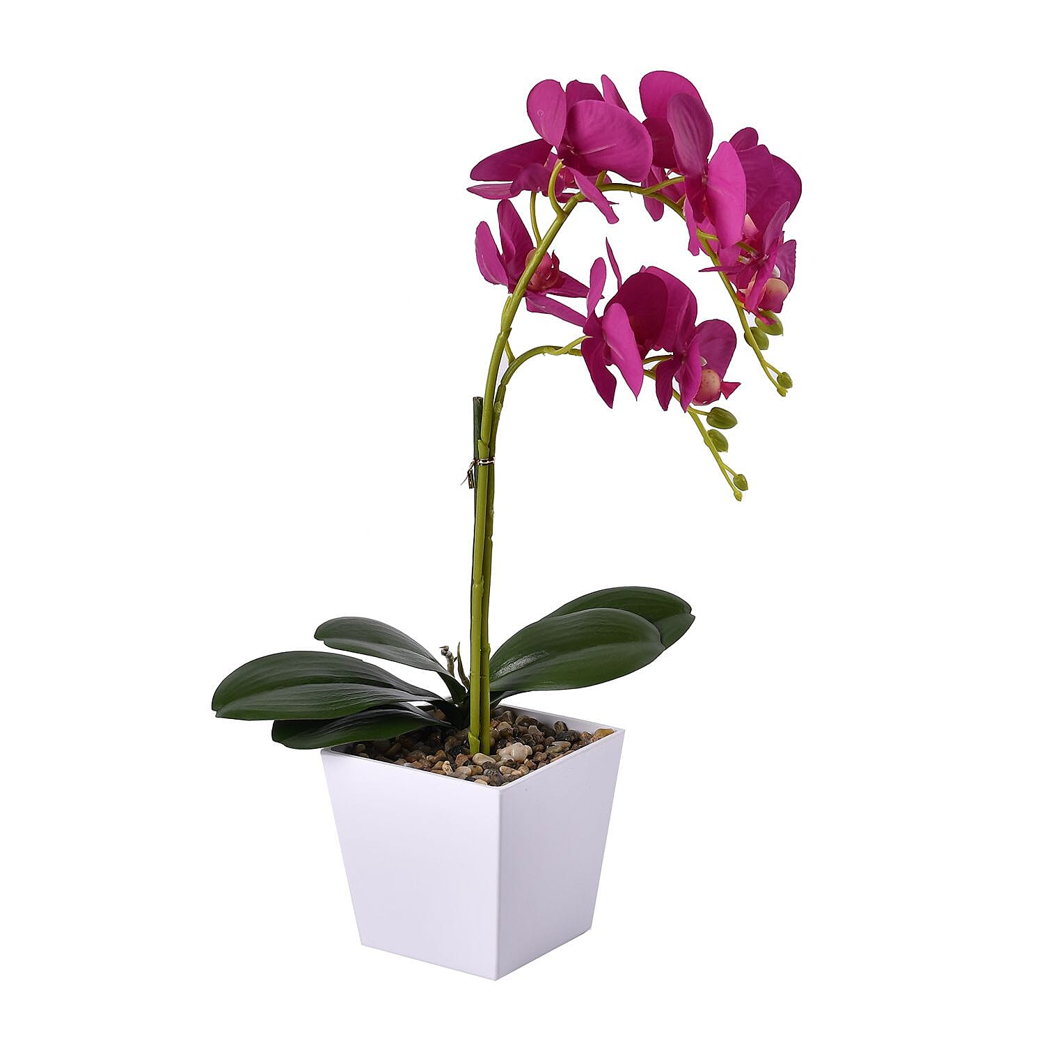 12 Head Butterfly Orchid Flower Foliage (Size 50x12x12 cm) - White