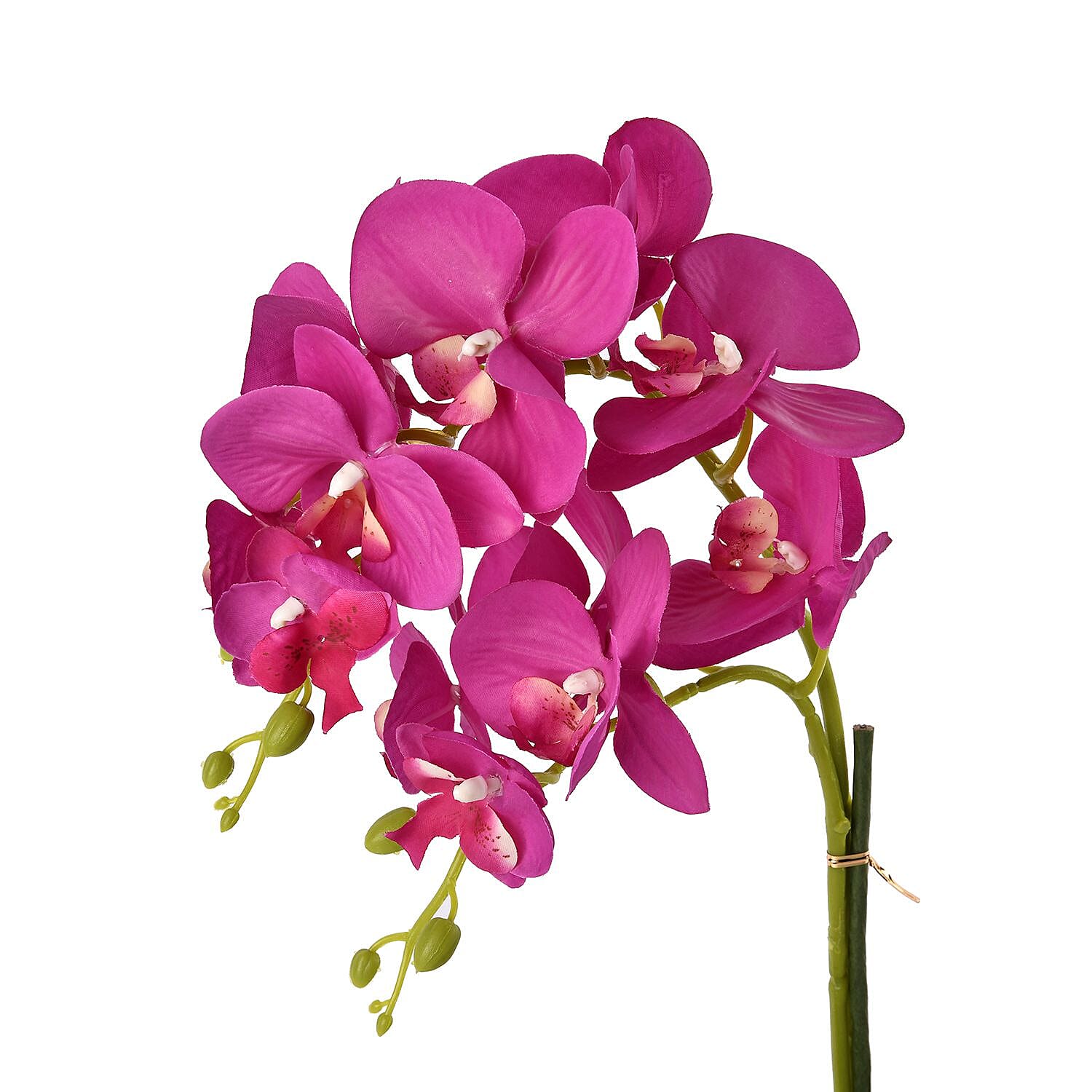 12 Head Butterfly Orchid Flower Foliage (Size 50x12x12 cm) - White