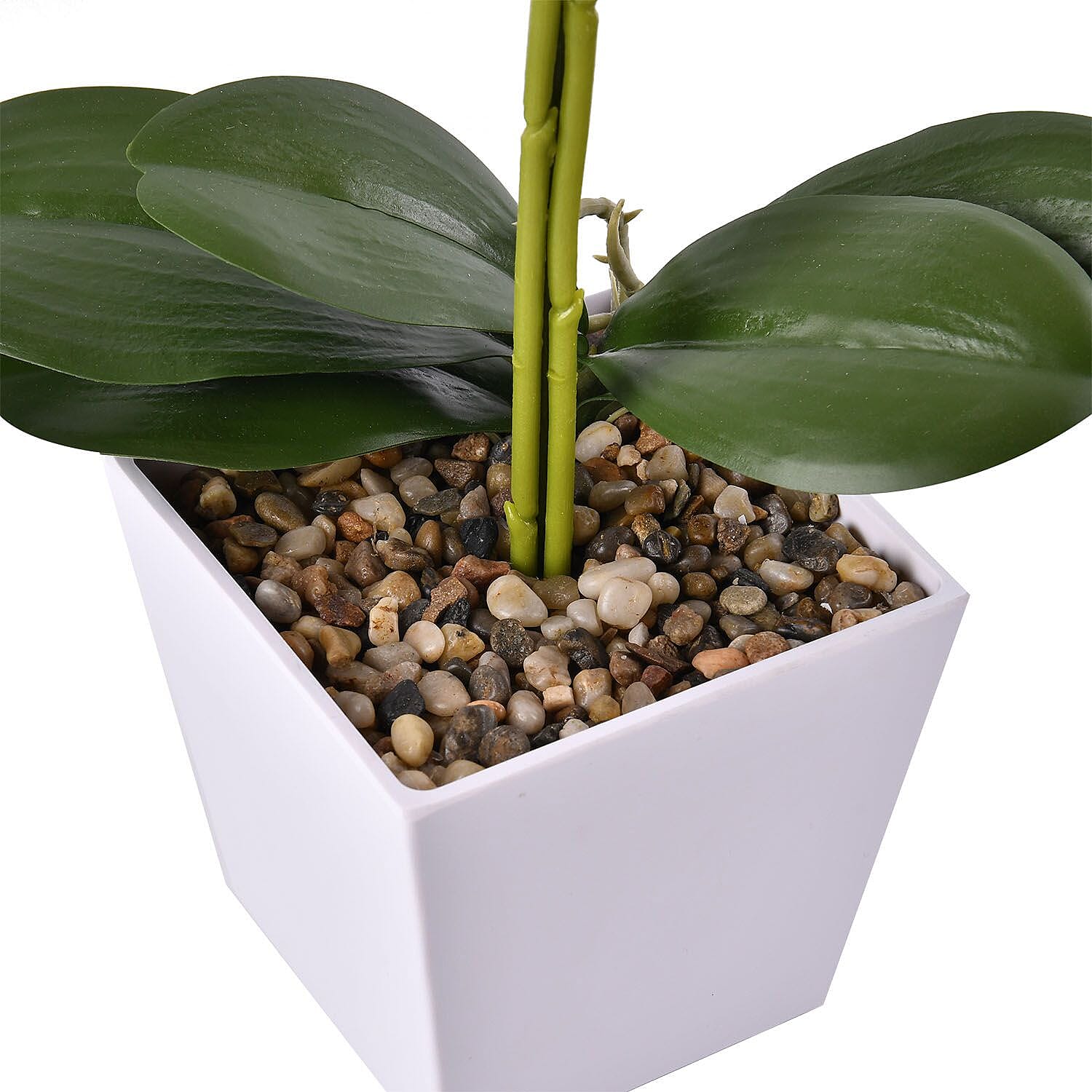 12 Head Butterfly Orchid Flower Foliage (Size 50x12x12 cm) - White