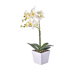 12 Head Butterfly Orchid Flower Foliage (Size 50x12x12 cm) - Purple