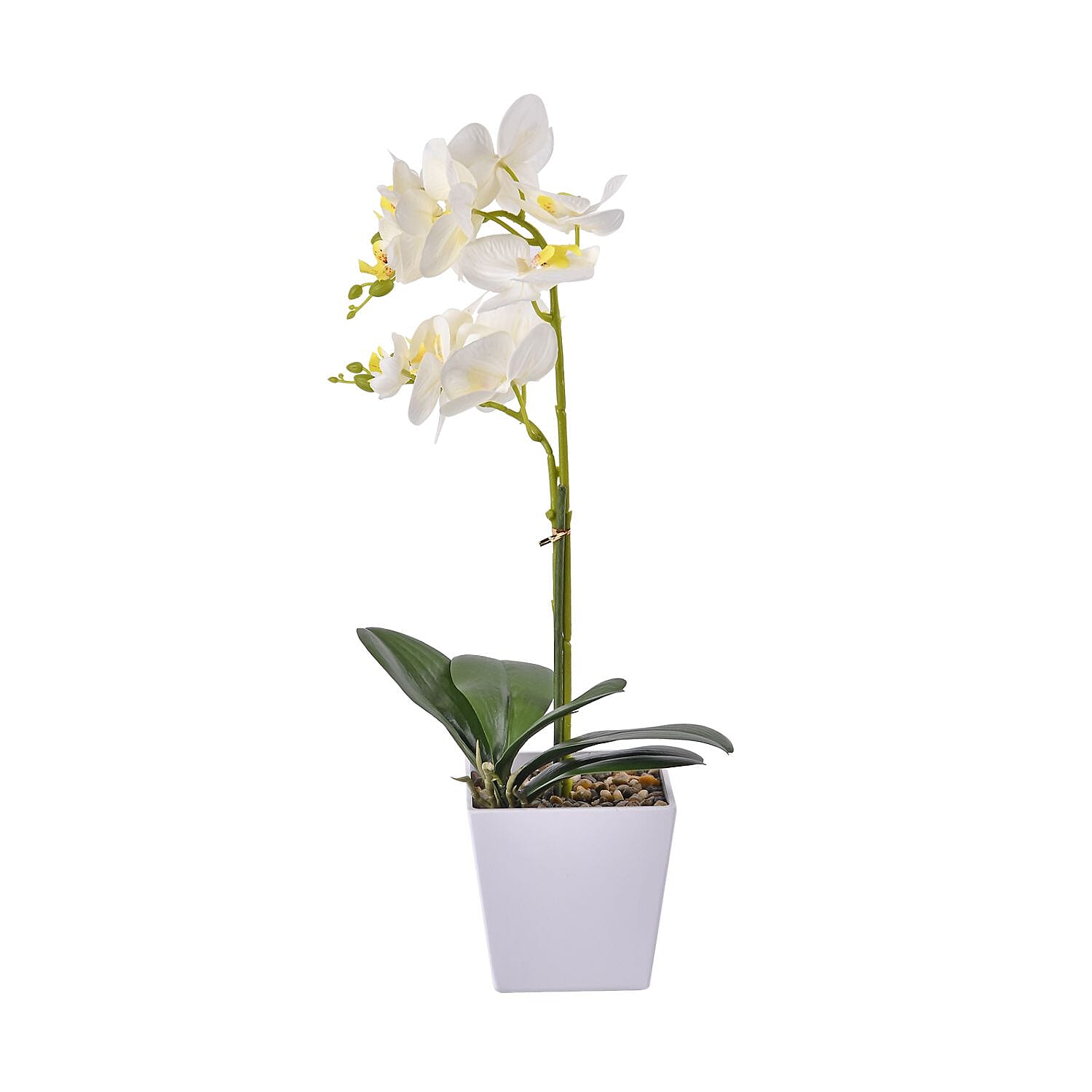12 Head Butterfly Orchid Flower Foliage (Size 50x12x12 cm) - White