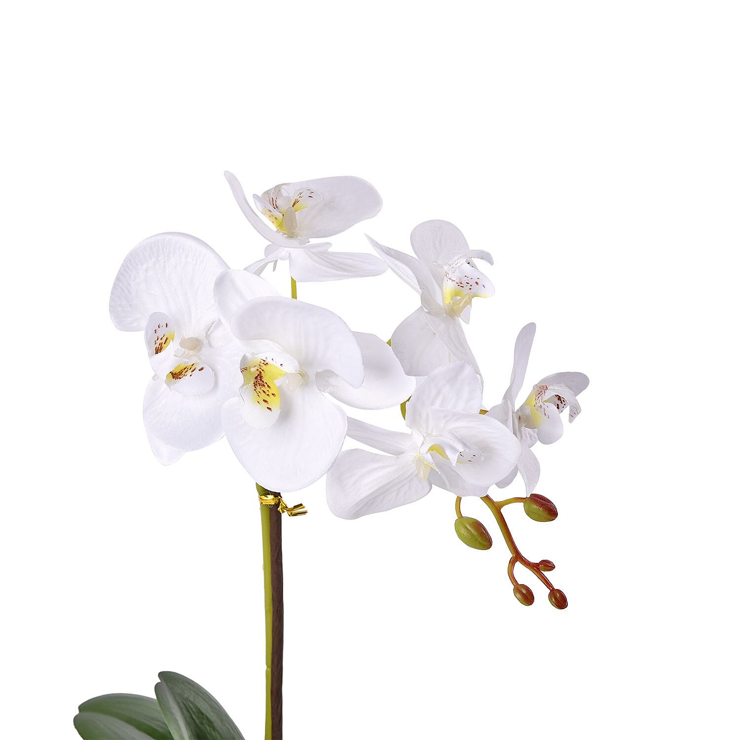 12 Head Butterfly Orchid Flower Foliage (Size 50x12x12 cm) - White
