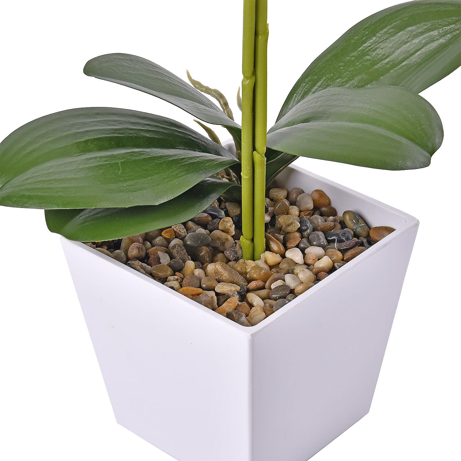 12 Head Butterfly Orchid Flower Foliage (Size 50x12x12 cm) - White