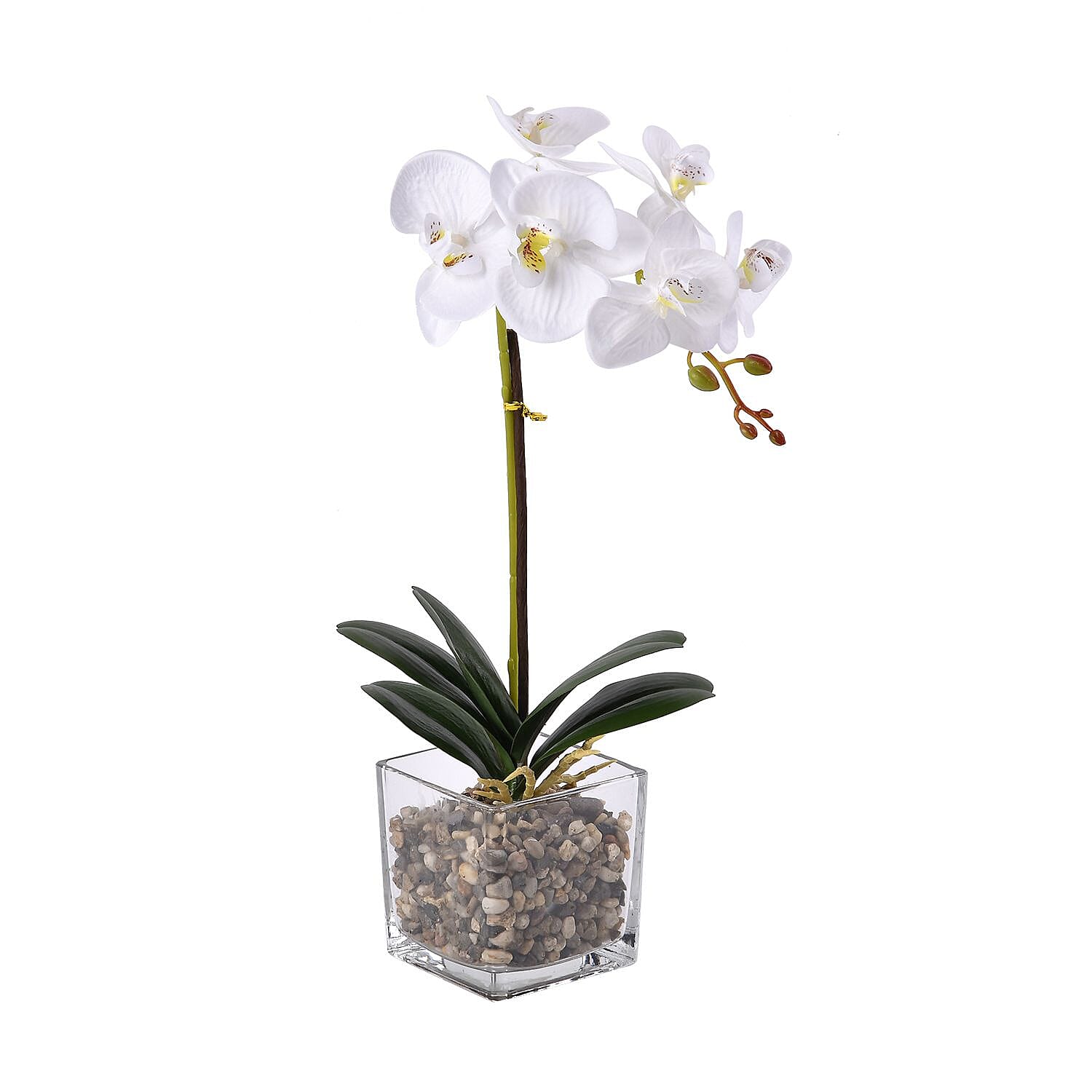 6 Head Butterfly Orchid Flower Foliage with Cobblestone (Size 50x10x10 cm) - White
