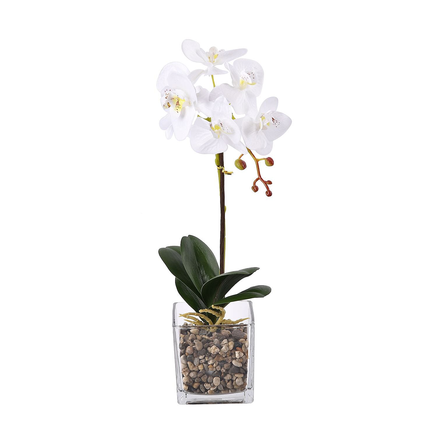 6 Head Butterfly Orchid Flower Foliage with Cobblestone (Size 50x10x10 cm) - White