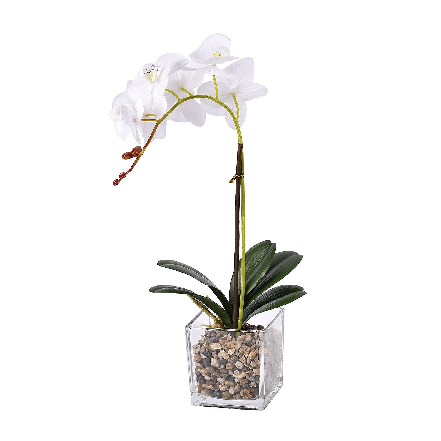 6 Head Butterfly Orchid Flower Foliage with Cobblestone (Size 50x10x10 cm) - White