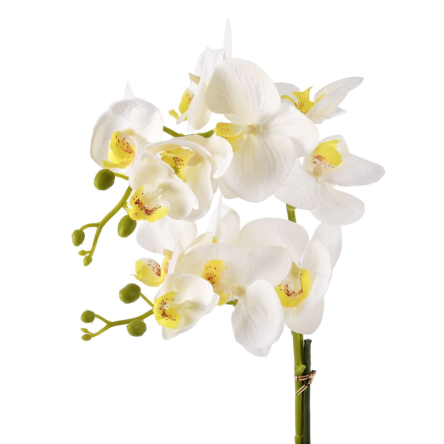 6 Head Butterfly Orchid Flower Foliage with Cobblestone (Size 50x10x10 cm) - White