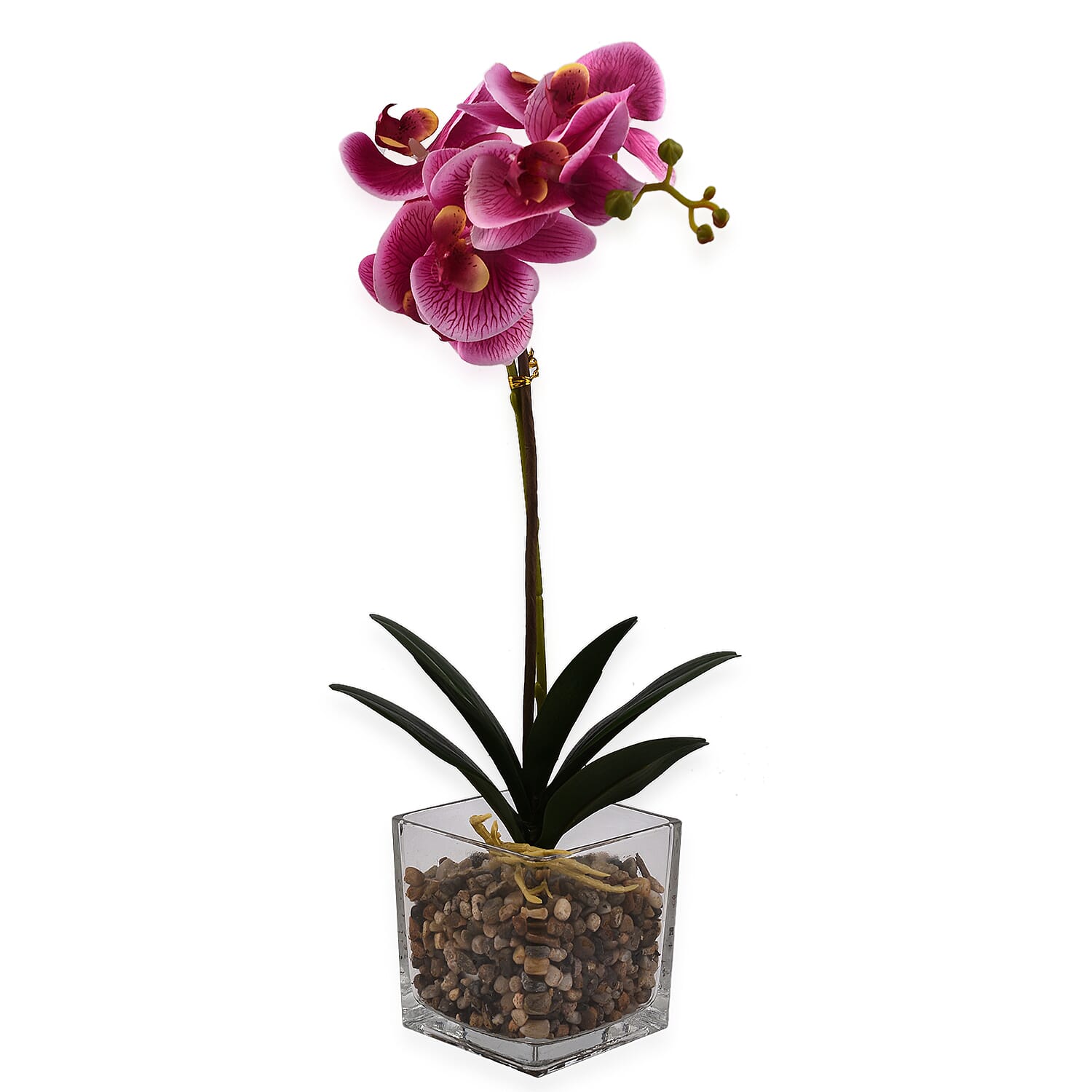 6 Head Butterfly Orchid Flower Foliage with Cobblestone (Size 50x10x10 cm) - Purple