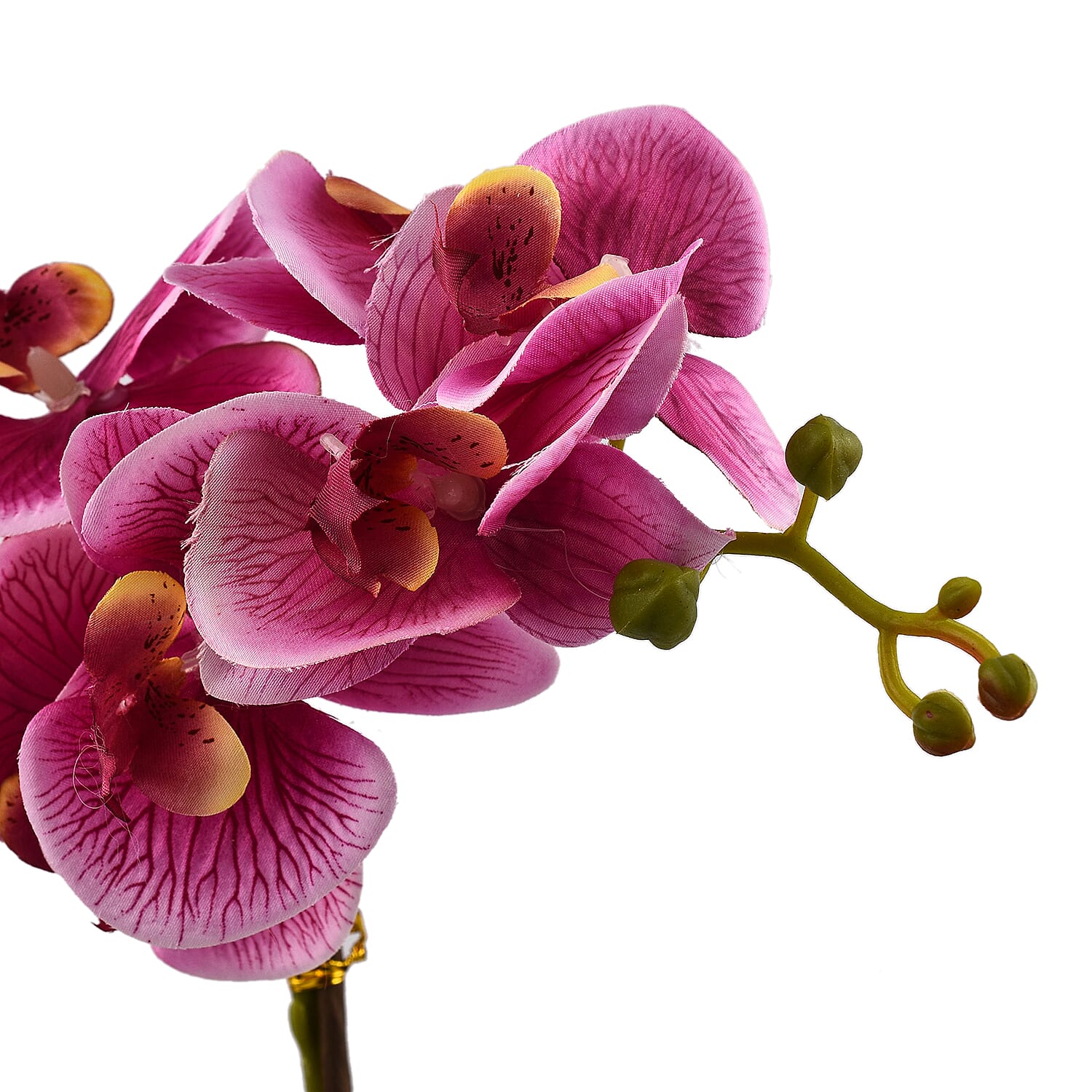 6 Head Butterfly Orchid Flower Foliage with Cobblestone (Size 50x10x10 cm) - Purple
