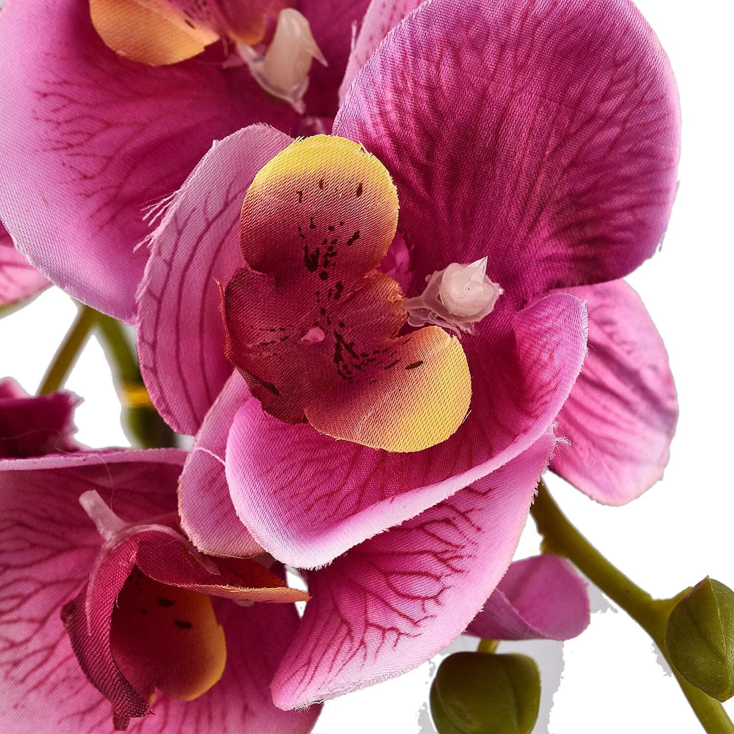 6 Head Butterfly Orchid Flower Foliage with Cobblestone (Size 50x10x10 cm) - Purple