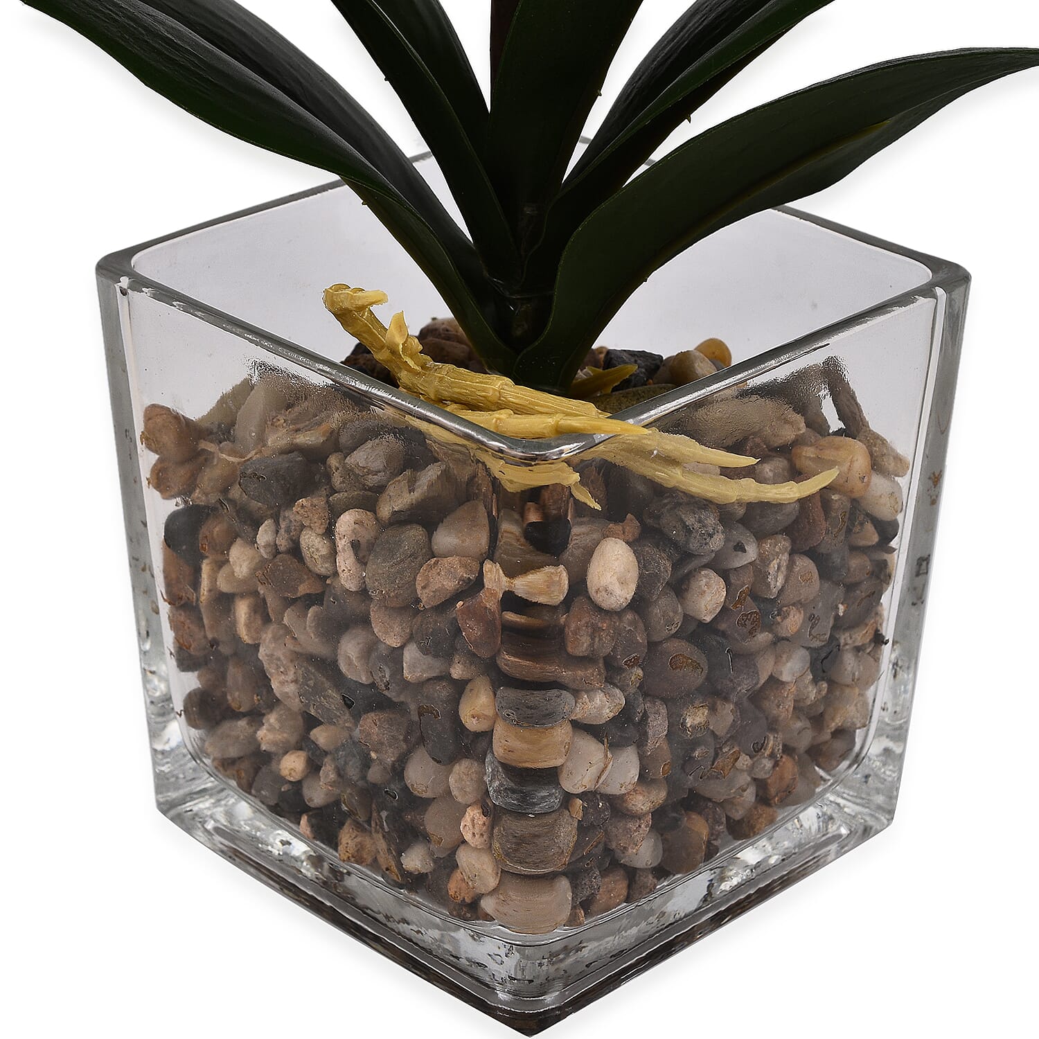 6 Head Butterfly Orchid Flower Foliage with Cobblestone (Size 50x10x10 cm) - Purple