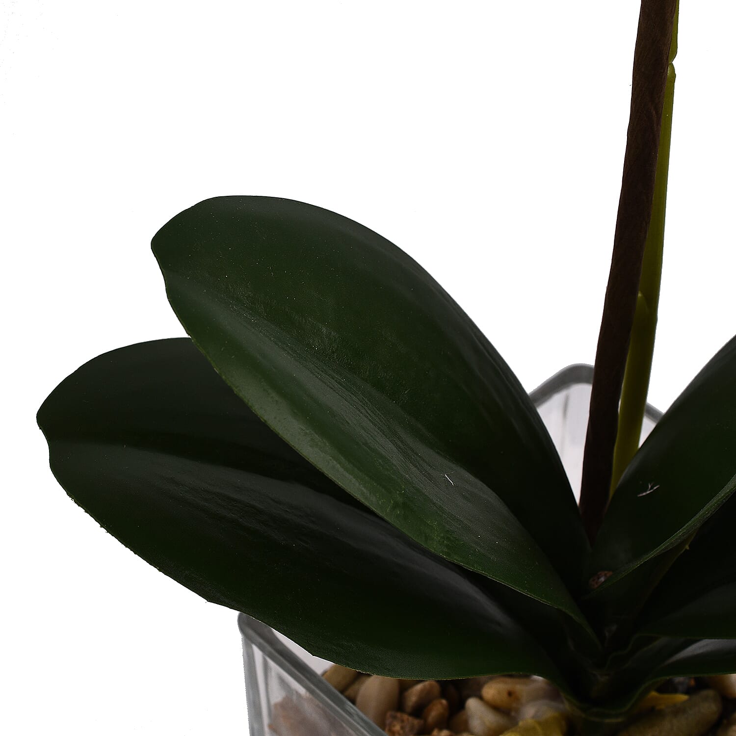 6 Head Butterfly Orchid Flower Foliage with Cobblestone (Size 50x10x10 cm) - Purple