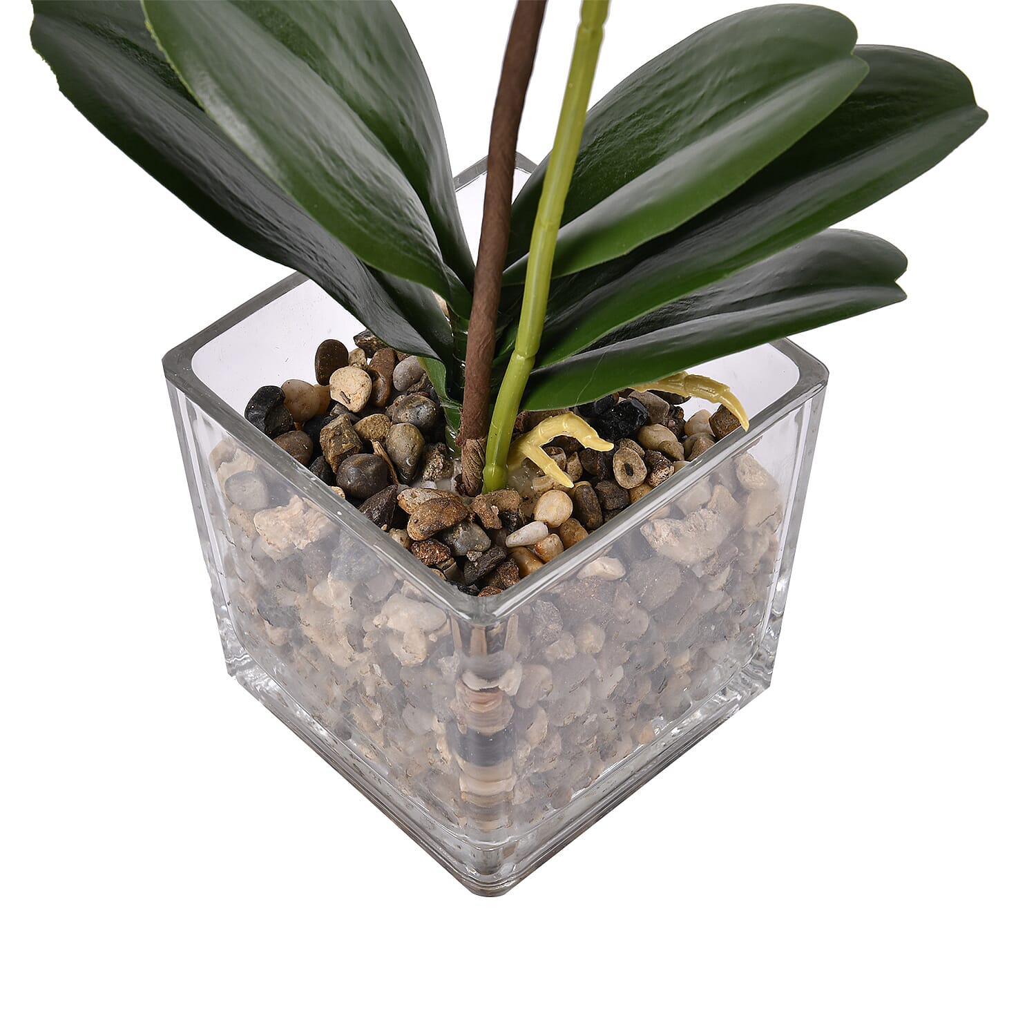 6 Head Butterfly Orchid Flower Foliage with Cobblestone (Size 50x10x10 cm) - Purple