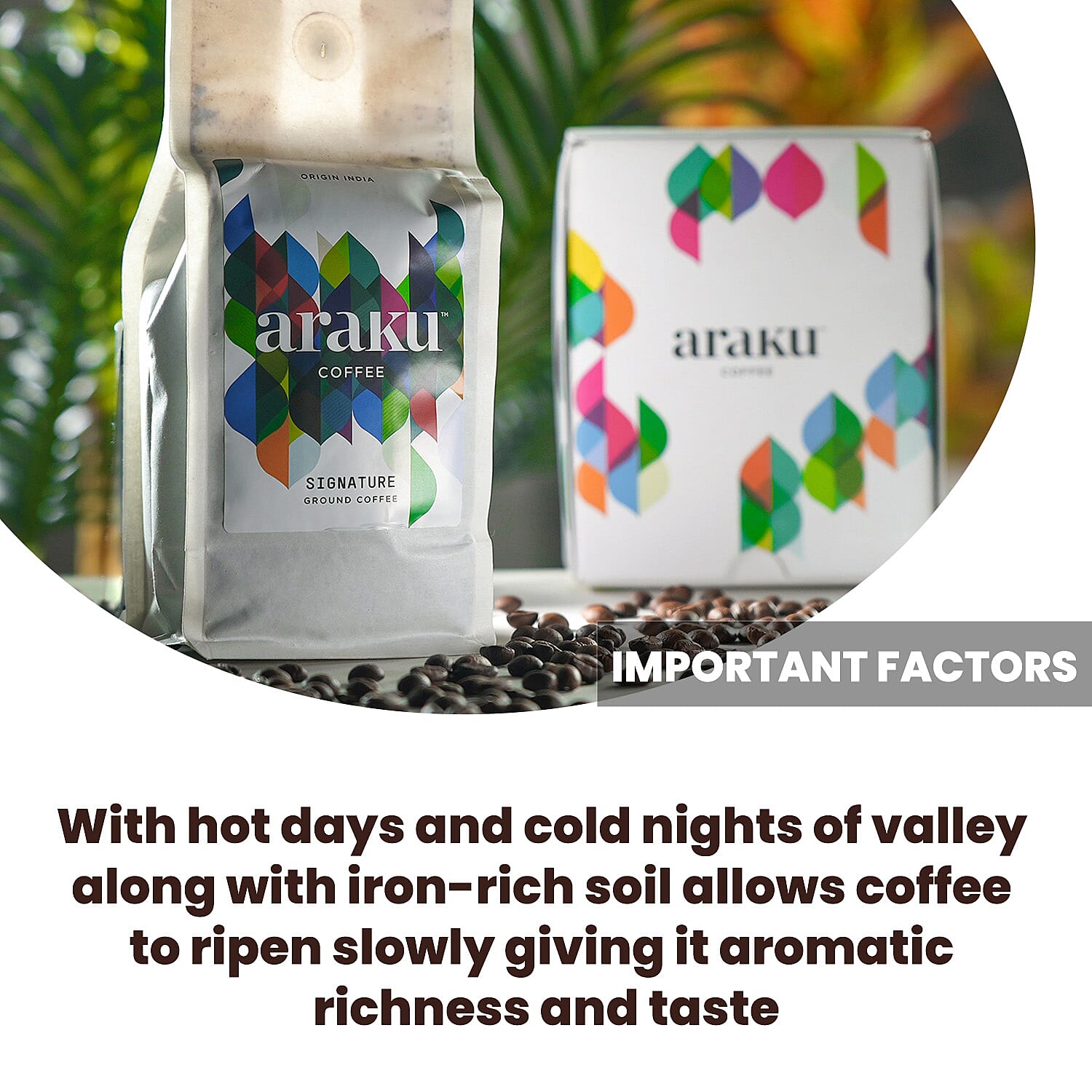 ARAKU Arabica Ground Coffee - Signature (250g)