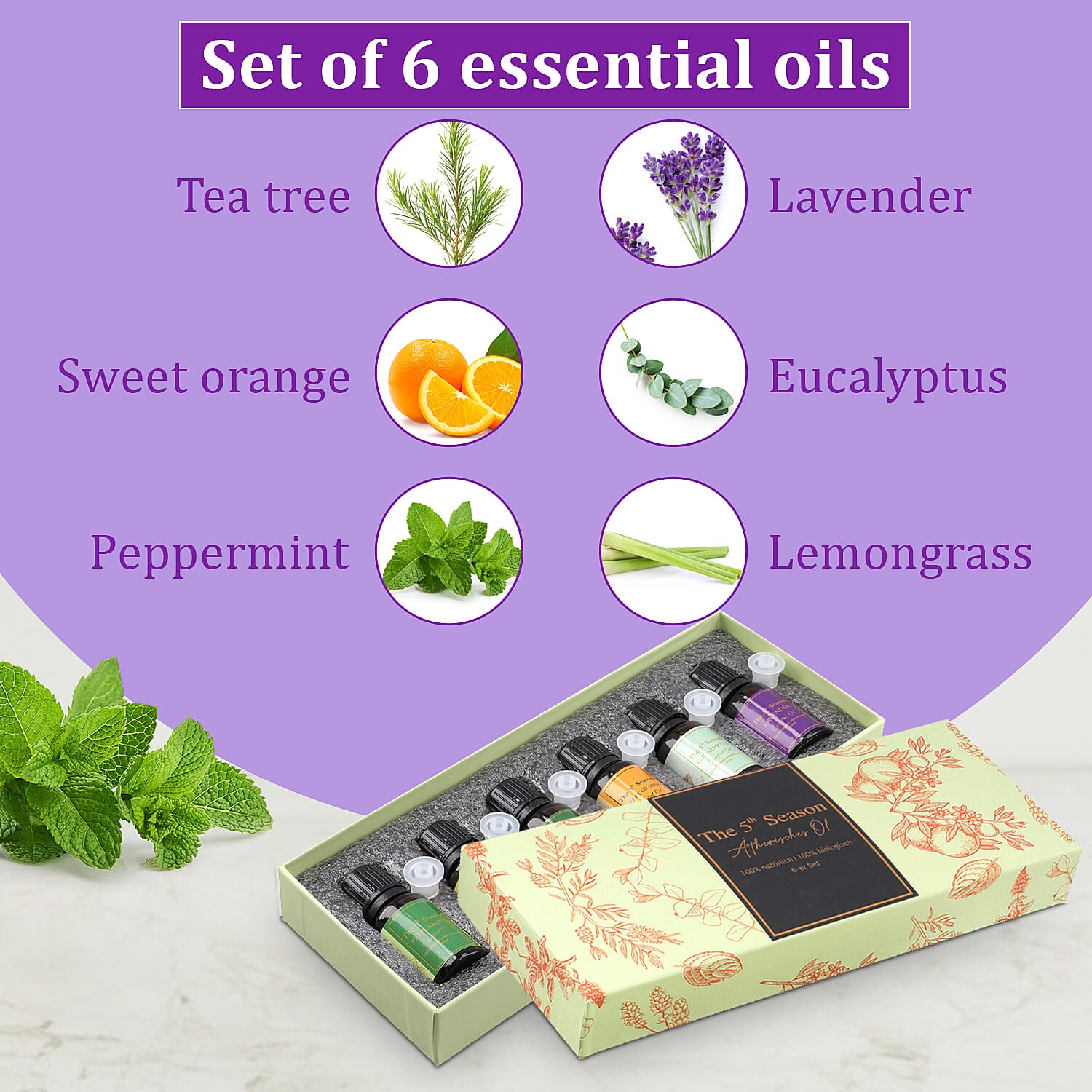 The 5th Season - Set of 6 Essential Oils - Lavender, Eucalyptus, Lemongrass, Tea Tree, Sweet Orange & Peppermint - 10ml each