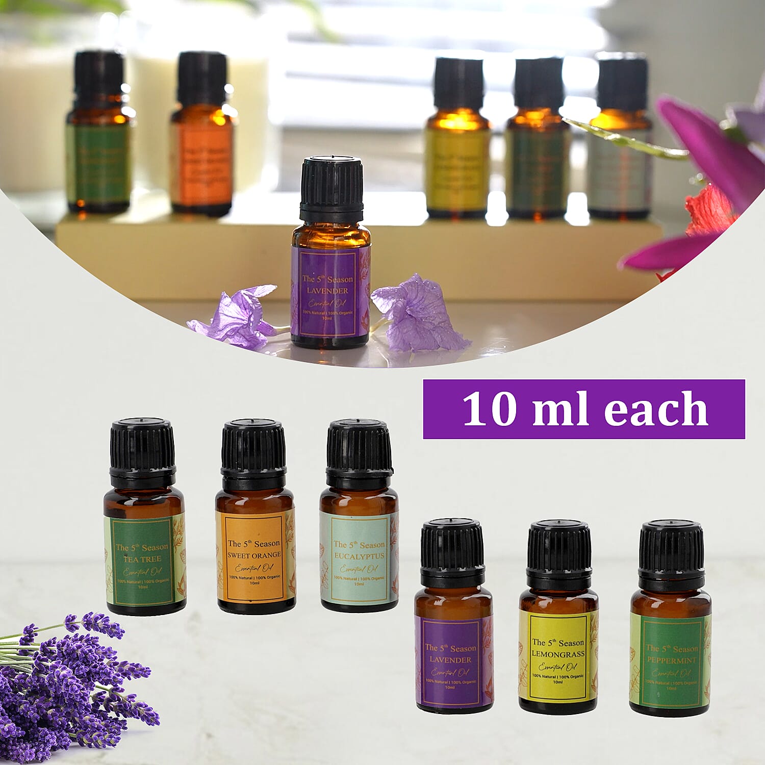 The 5th Season - Set of 6 Essential Oils - Lavender, Eucalyptus, Lemongrass, Tea Tree, Sweet Orange & Peppermint - 10ml each