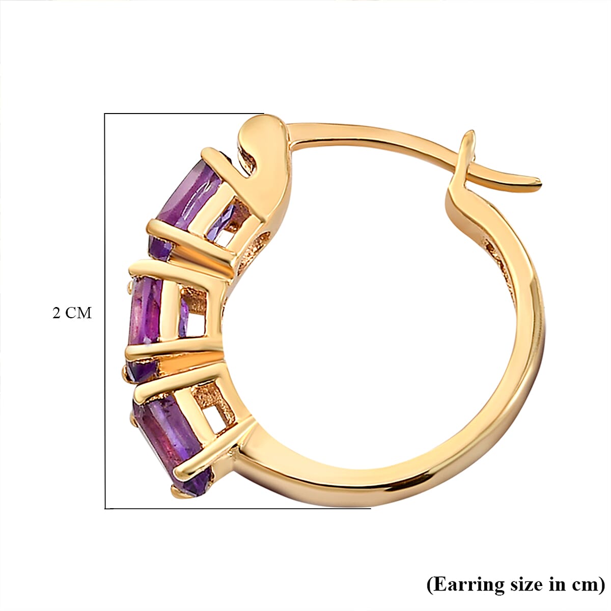 Amethyst Earrings in Gold Overlay Sterling Silver (with Clasp) 2.63 Ct.