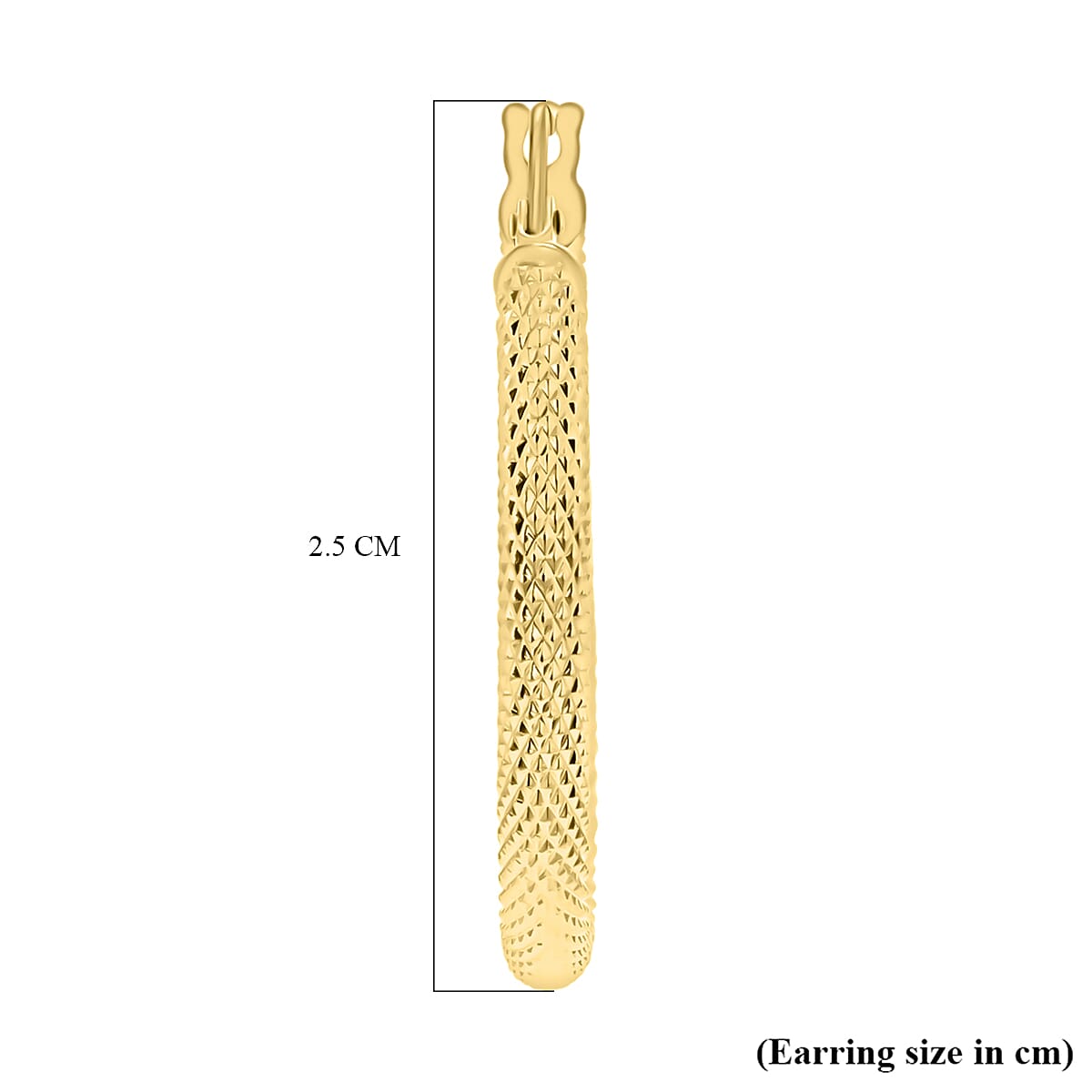 9K Yellow Gold  Earring,  Gold Wt. 1.5 Gms