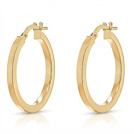 9K Yellow Gold  Earring,  Gold Wt. 1.4 Gms
