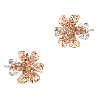 https://tjcuk.sirv.com/Products/73/4/7341449/9K-White-Gold-Earring-Gold-Wt-2-4-Gms_7341449_1.jpg?w=342&h=342