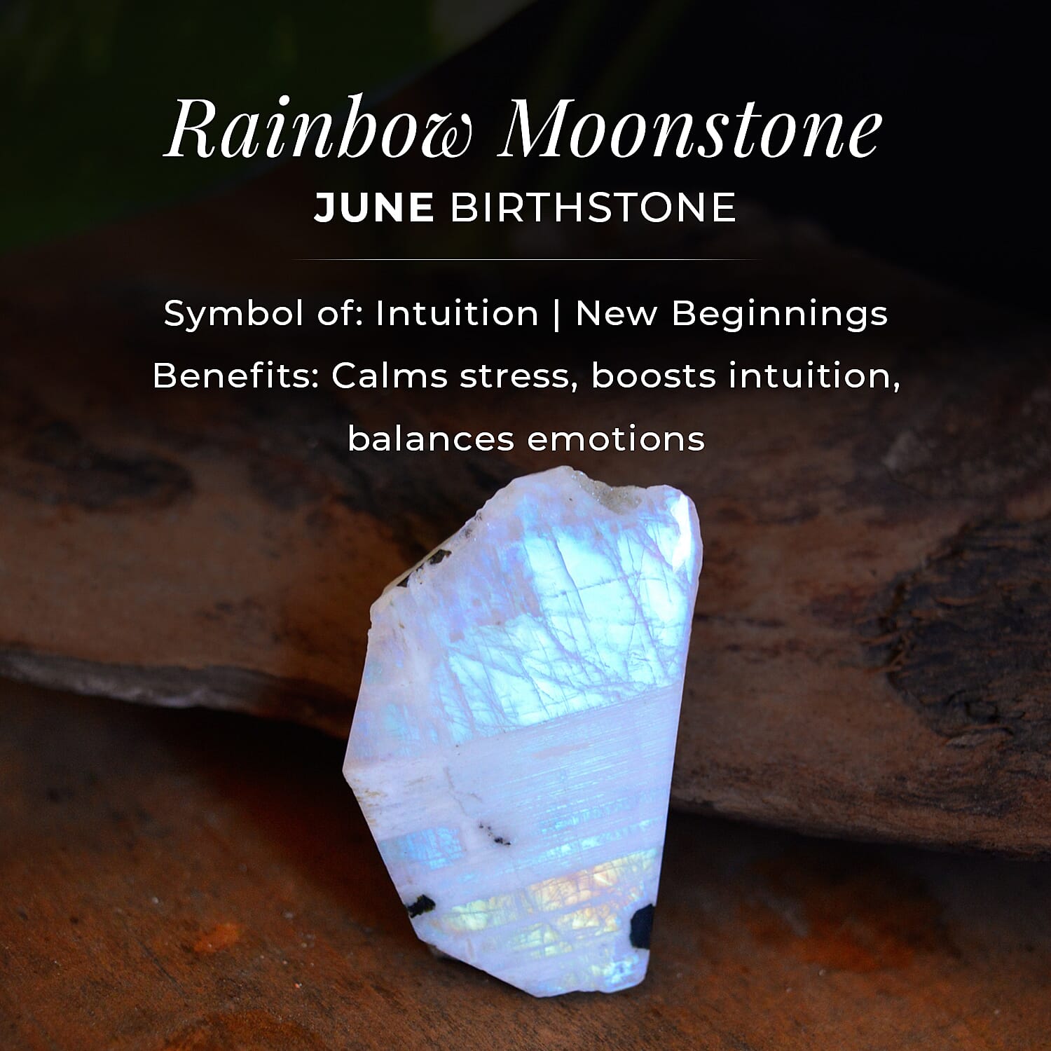 Princess Diana Inspired Halo Ring in Sterling Silver